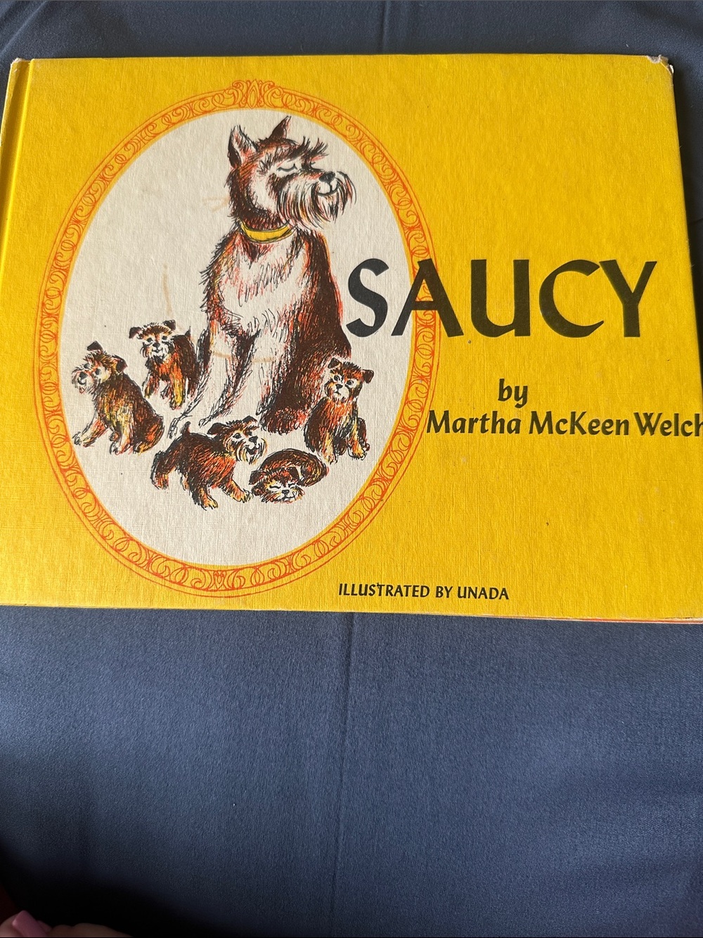 Saucy by Martha McKeen Welch - Yellow Illustrated Book